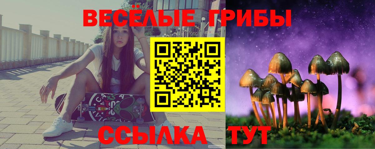 Карпинск  сколько стоит  Галлюциногенные грибы мицелий  Вход с VPN  Галлюциногенные грибы прущие грибы 